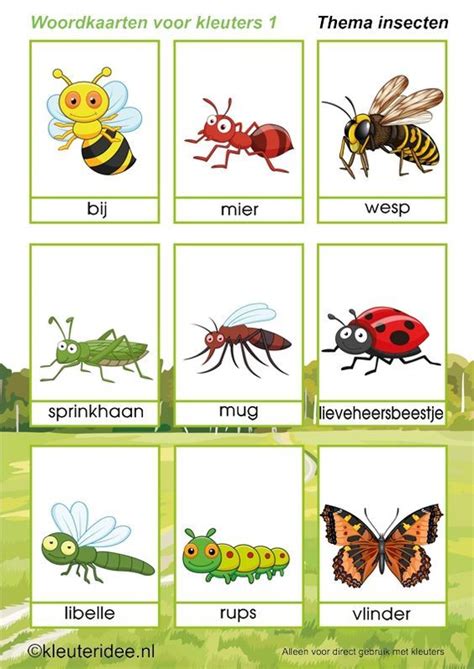 Woordkaarten Voor Kleuters Thema Insecten Kleuteridee Free Hot Sex