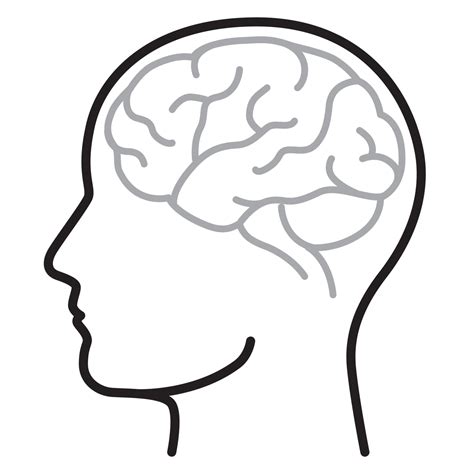 Simple Brain Drawing At Explore Collection Of