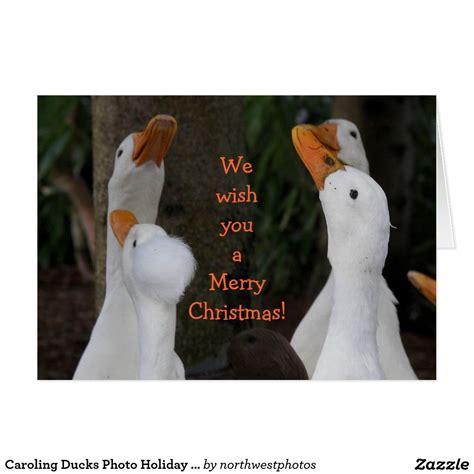 Caroling Ducks Photo Funny Holiday Card Funny Holiday