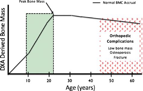 Peak Bone Mass Gains During Childhood 42 Download Scientific Diagram
