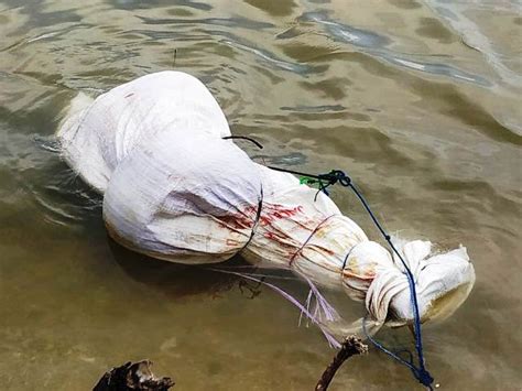 Mayat Perempuan Dalam Karung Terombang Ambing Di Laut Okezone News