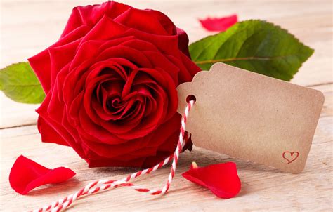 Wallpaper Roses Red Love Buds Heart Flowers Romantic Roses Red
