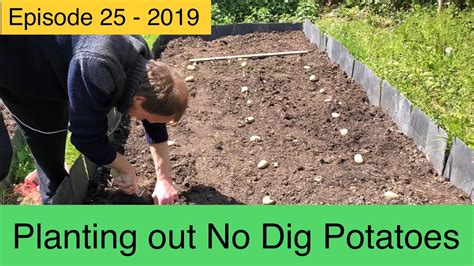 Planting Out Potatoes No Dig Method Episode 25 2019 Youtube