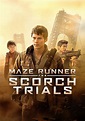 Maze Runner: The Scorch Trials (2015) - Posters — The Movie Database (TMDB)