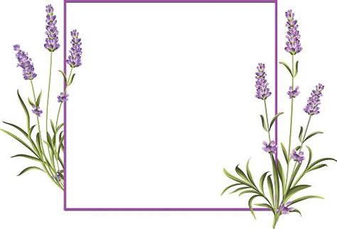 Lavender Flower Border Design