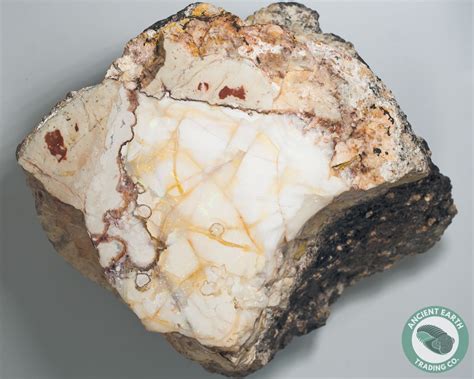 Xl 519 In Opal Thunderegg Nodule Idaho Opal Minerals Natural