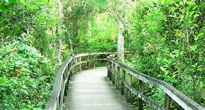 Get, Easy, Access, To, Nature, With, Trails, Boardwalks, And