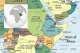 The Real Politics of the Horn of Africa: Money, War and the Business of Power - WardheerNews