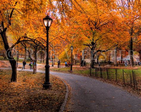 Central Park Autumn Wallpapers Top Free Central Park Autumn