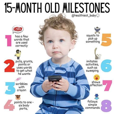 Pin By Haylee Cassidy On • Bringing Home Baby • Baby Facts 15 Month