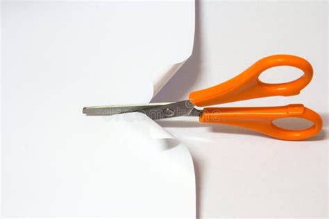 Scissors Cutting Blond Hair Stock Photo Image Of Measure Blonde 6623182