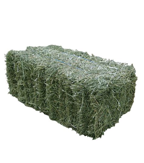 Timothy Grass Hay Bale Wilco Farm Stores