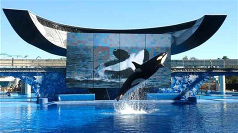 Seaworld Announces Bigger Tanks For Orcas Fox 5 San Diego