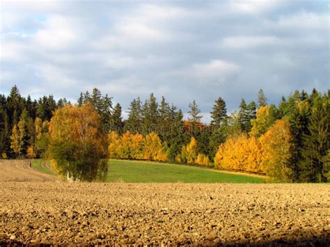 Beautiful Colorful Autumn Landscape Meadow Harvested Field And Forest