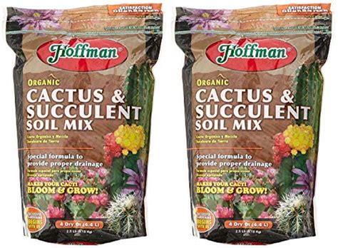 Provides the drainage cacti need to flourish; Top 9 Christmas Cactus Soil - Home & Kitchen Features ...