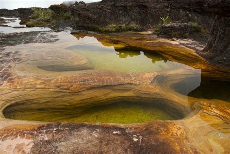 Natural Pools Mount Roraima Stock Photo Image Of Nature Puddle