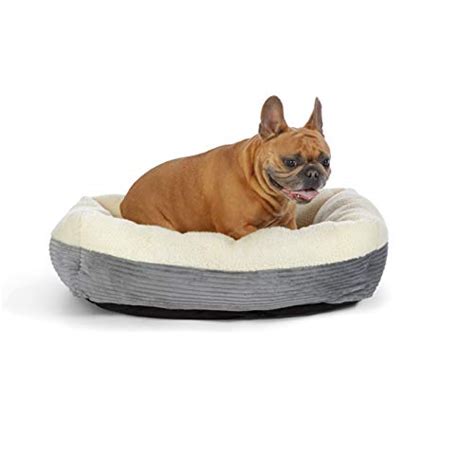 Best Dog Beds For French Bulldogs 2022 With Reviews