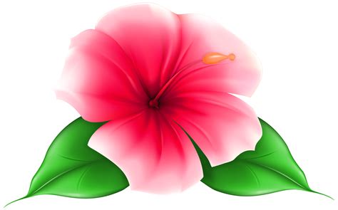 Hawaiian Flowers Cartoon Hawaiian Cartoon Cliparts Characters Flowers