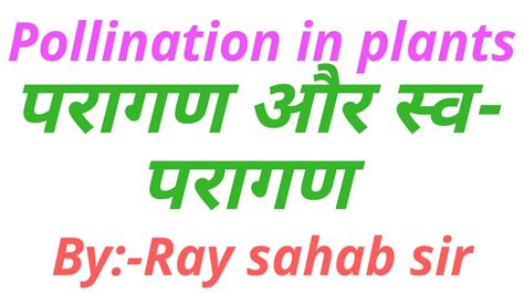 Few seeds are formed, offspring are weak. Pollination & Self pollination..By:- Ray sahab sir - YouTube