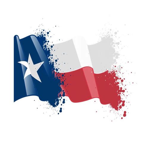 Texas Flag Logo Design Contest