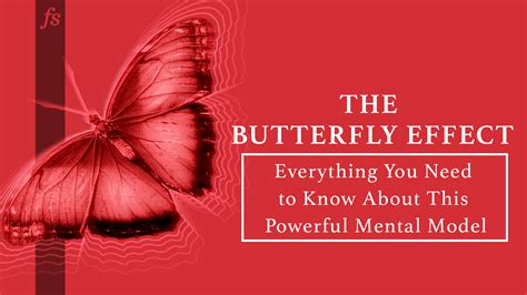 The Butterfly Effect Everything You Need To Know About This Powerful