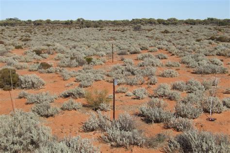 Rangeland Inventory And Condition Survey Of The Sandstone Yalgoo
