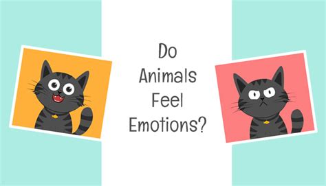 Do Animals Feel Emotions Gk For Kids Mocomi