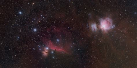 Orion Nebula Complex Astro Imaging
