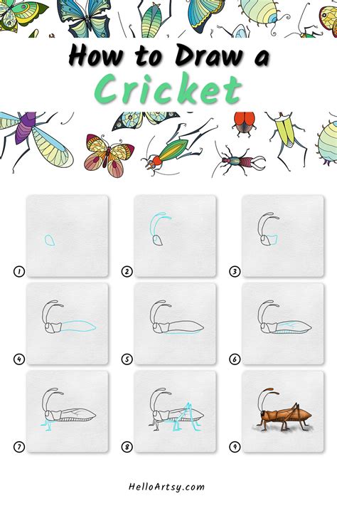 How To Draw A Cricket 9 Step Drawing Lesson For Kids Drawing