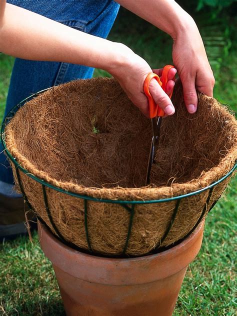How To Plant Hanging Baskets Hanging Flower Baskets Hanging Plants