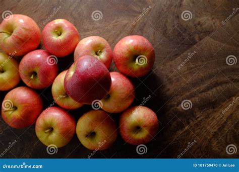 Freshly Picked Organic Gala Apples Stock Photo Image Of Freshly