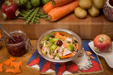 Don't fancy cooking a christmas dinner and all the trimmings? A Healthy Christmas Dinner For Your Dog
