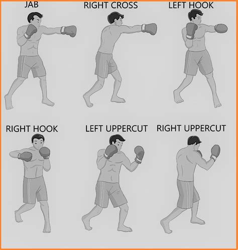 6 Basic Punches