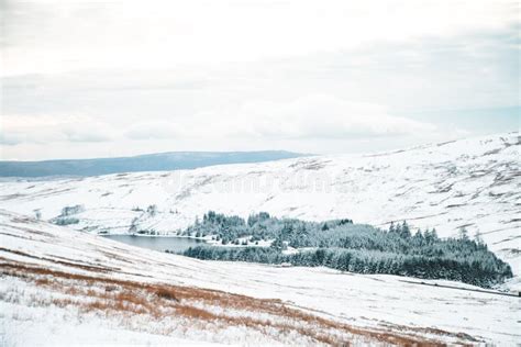 Beautiful Scenery Of White Hills And Forests In The Countryside During