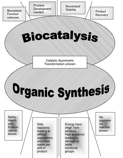 Biocatalysis Organic Synthesis Boundaries Download Scientific Diagram