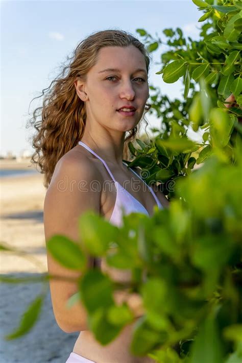 Lovely Blonde Bikini Model Posing Outdoors On A Caribbean Beach Stock