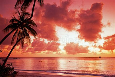 Colorful Sunset Stock Photo Image Of Caribbean Colors 4193508