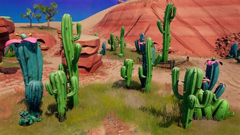 Where To Find Fortnite Cactus Plants And Destroy Different Types