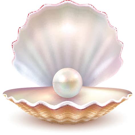 Clipart Pearl 10 Free Cliparts Download Images On Clipground 2022