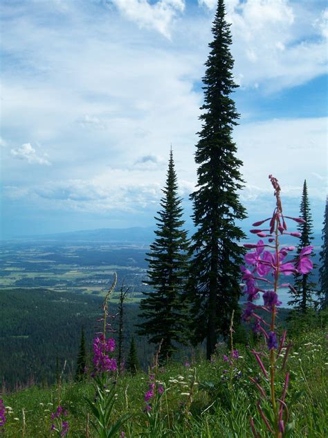 Summer In Whitefish Montana View From Big Mountain This Is One Of