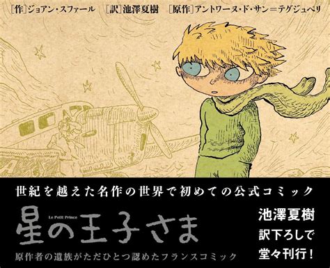 The Little Prince Graphic Novel 9784861139567 Books Amazonca