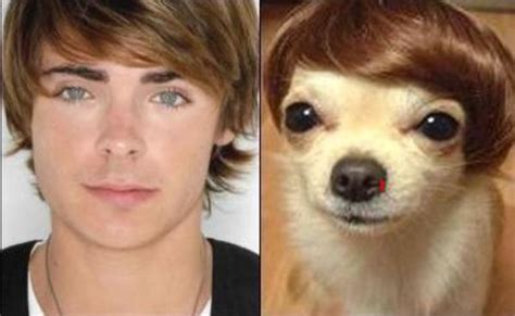 19 Celebrities And Their Dog Lookalikes This Is Hilarious
