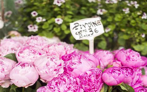 Paris Florists Discovering French Flower Traditions Paris Perfect