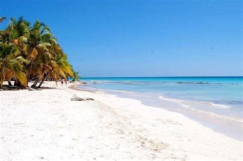 All Inclusive Saona Island Tour From Punta Cana Full Day