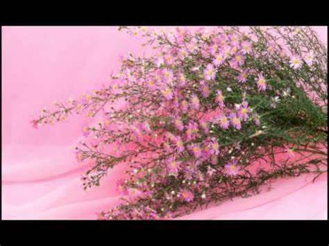 Диета для оксаны