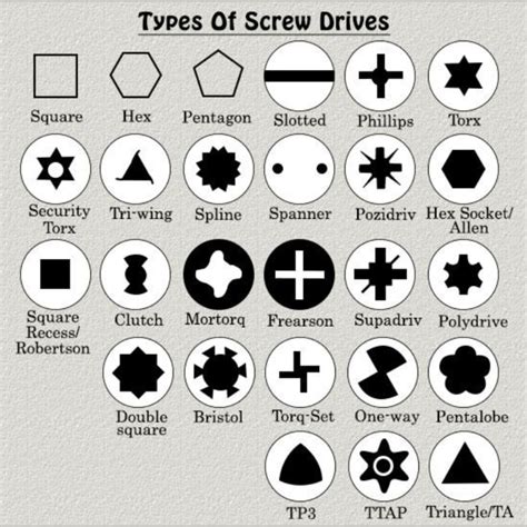 Types Of Screw Heads Chart Design Talk