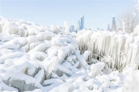 Frozen Plants Covered In Snow Stock Photo Image Of Weather Chicago