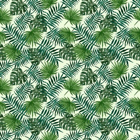 Tropical Wallpapers Top Free Tropical Backgrounds Wallpaperaccess