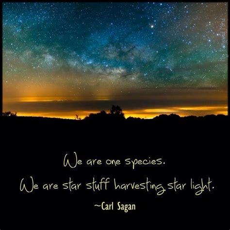 Quotes Made Stardust Carl Sagan Quotesgram