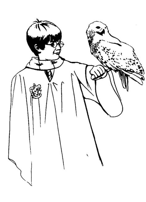 Please give your comment and enjoy this coloring sheet to print.thanks. Harry Potter and Her Owl Hedwig Coloring Page - NetArt